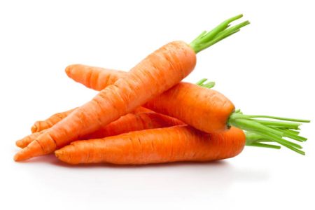 High Quality Chinese New Crop Fresh Carrot for Export