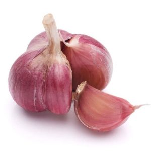 Garlic